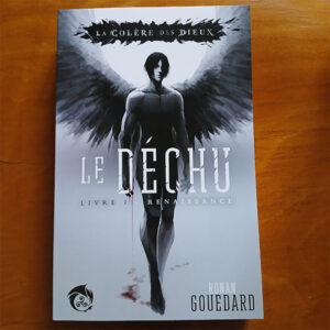 ronan gouedard, le déchu, osméosis, dark fantasy