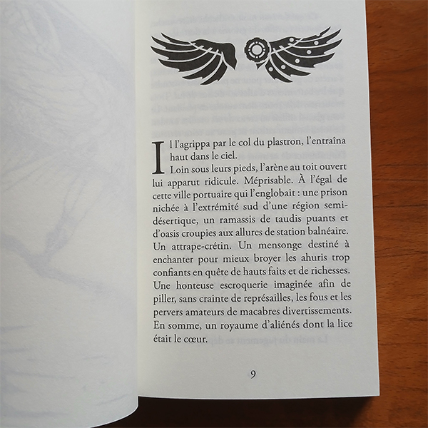 Plan de travail 3 osmeosis, dark fantasy, ronan gouedard